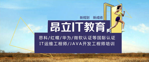 上海昂立IT教育