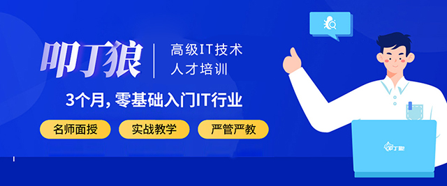 上海叩丁狼教育