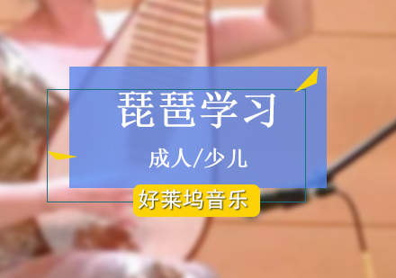 上海琵琶培訓課程(cheng)