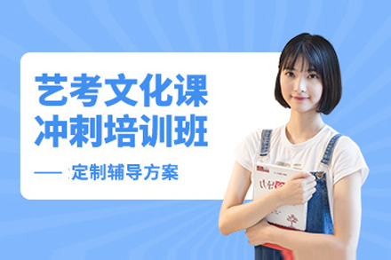 上海藝考文(wén)化課強化課程(cheng)