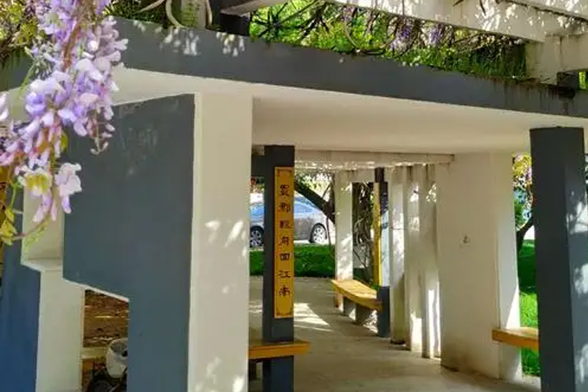 學(xué)校環境相冊